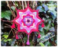 /album/fotogaleria-mandalas/a1-3-jpg/